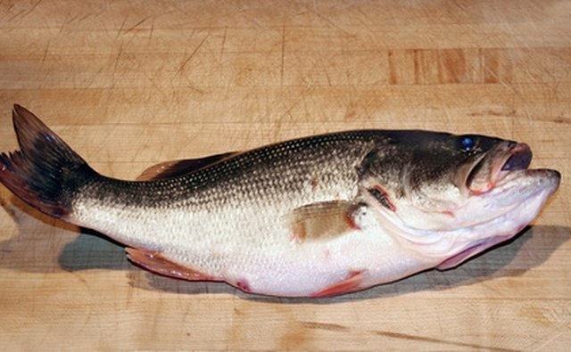 Located near Corpus Christi this lake is abundant with catfish and bass.