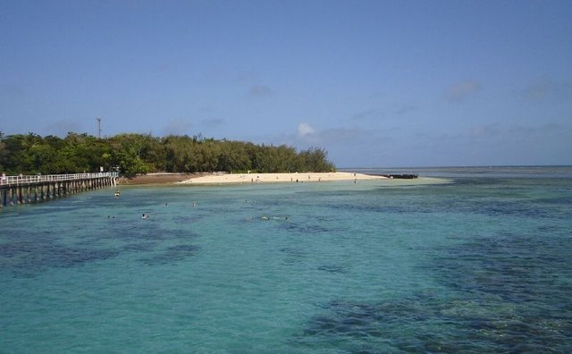 Reefs protect shorelines.