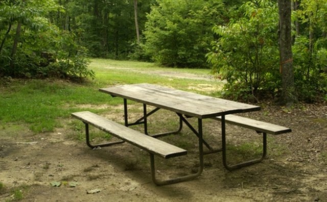Many south Georgia campgrounds offer picnic areas.