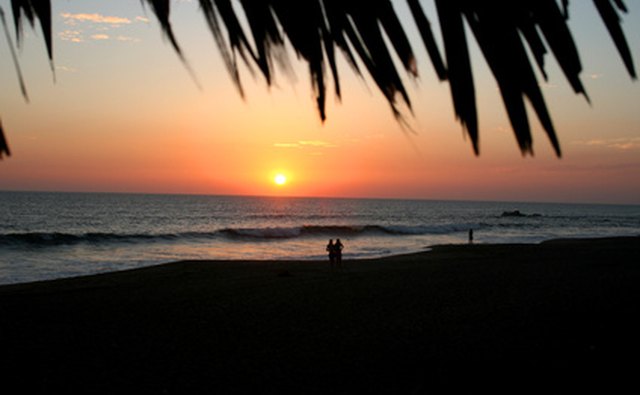 Palm Beach County provides a tropical setting for a campsite.