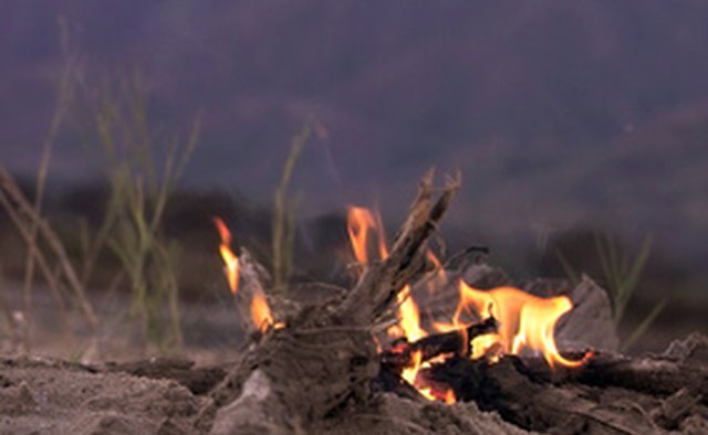 Review camping and survival basics with this challenging game.