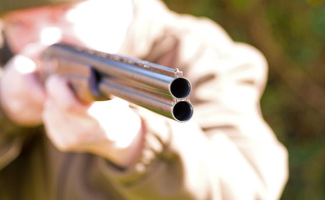 A man with a shotgun demonstrates sighting a target.