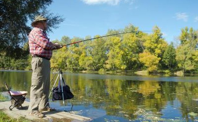 Consider purchasing several containers of Berkeley power bait.