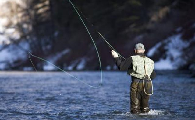 Fishing, hunting, and wildlife contributes every year to South Carolina's economy.