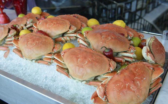 Dungeness crab are most abundant in Washington's waters.