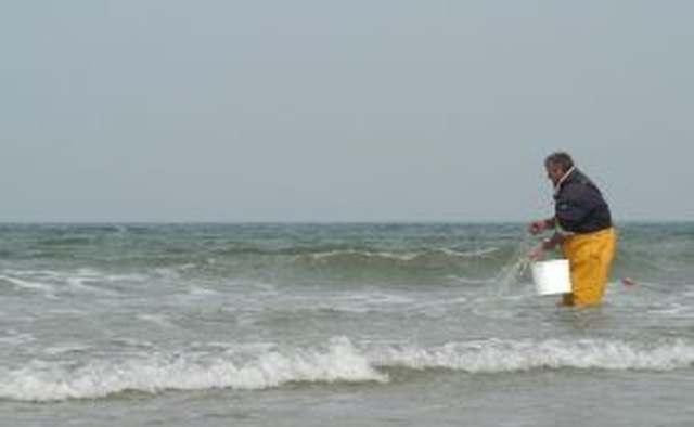 Smelt dipping