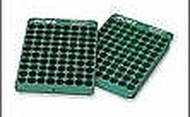 Bullet Trays