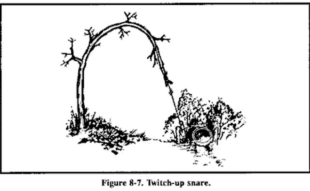 Twitch up Snare construction