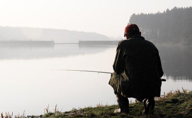 You can find bream year round in depths of 5 feet to 15 feet.