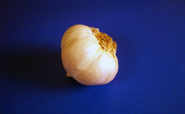 Garlic makes for an effective additive.