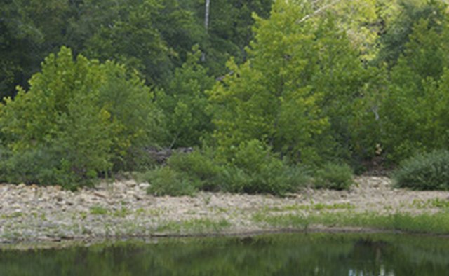 Attract fish to your chosen spot by throwing some attractant into the water.