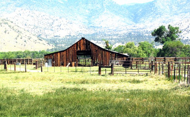 Private ranches in Georgia do not advertize elk hunting.