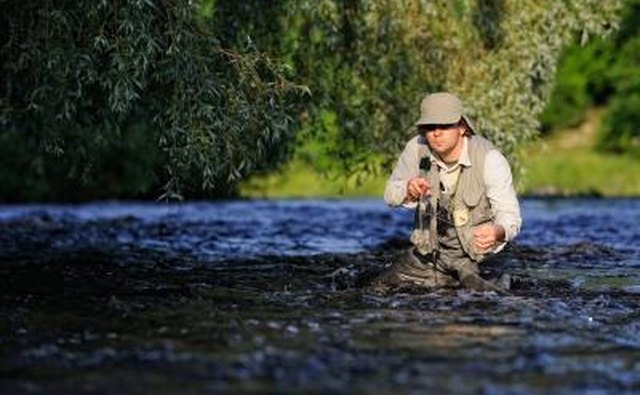 Natural bait is irresistible to a fish.