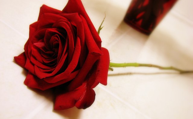 You're ready to make your business bloom