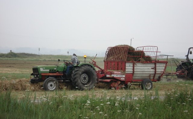 Growing Forward grants help Alberta farmers expand their businesses.