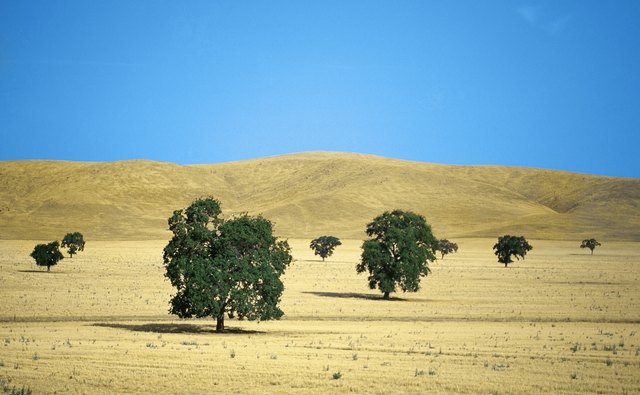 What Are 3 Natural Resources In California