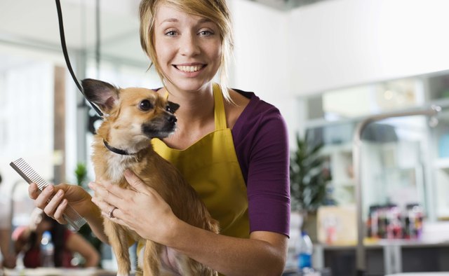 Groomer with a dog