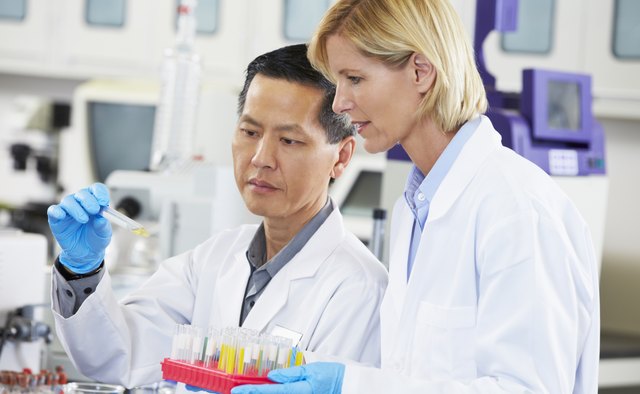 Male And Female Scientists Working In Laboratory