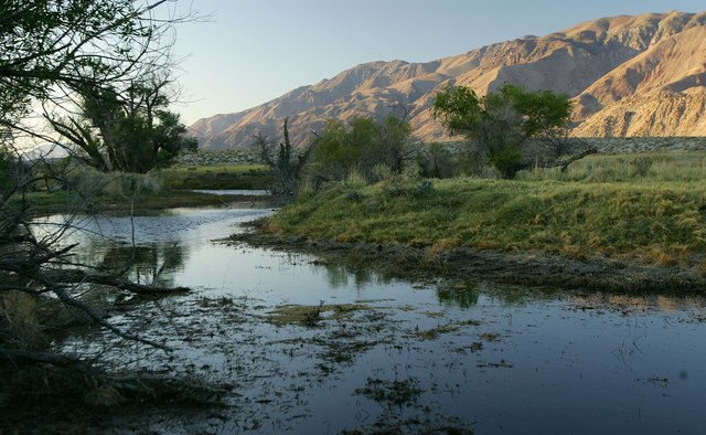 Los Angeles Tries To Reverse Desertification Of Owens Lake