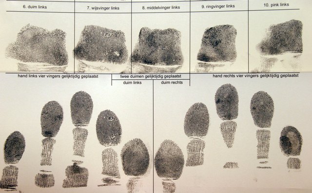 fingerprints