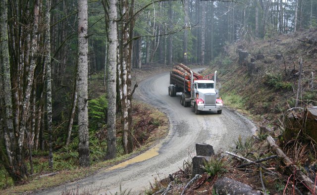 logging truck in woods