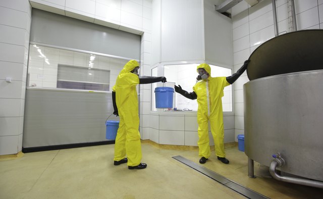 Two professionals at work in plant