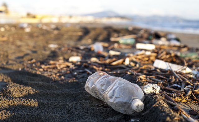 pollution, plastic water bottle on a beach