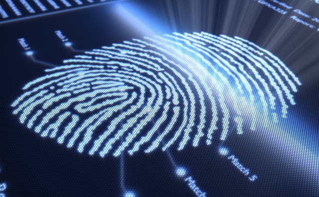 Fingerprint on pixellated screen