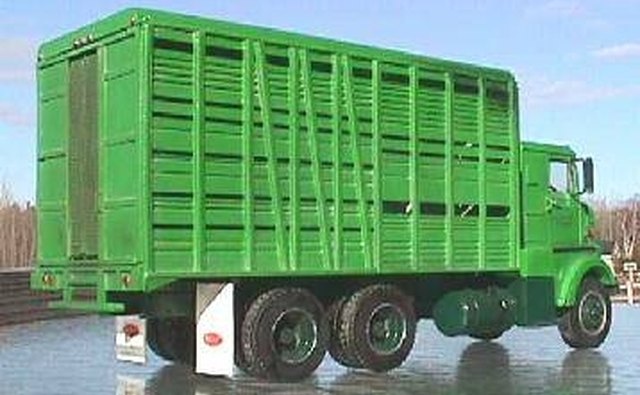 A 1959 cab-over-engine, or COE, cattle hauler Peterbilt.