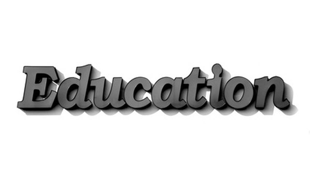 An education grant was created to facilitate programs about abstinence for pregnant teens.