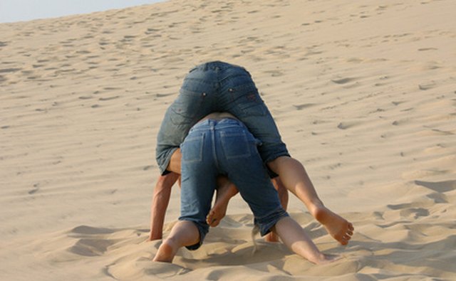 Brazilian Jiu-Jitsu has a strong ground fighting component.