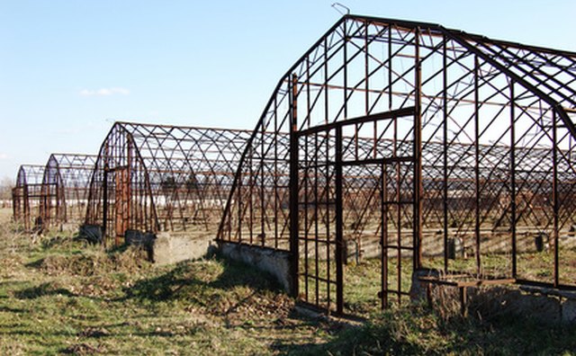 Building four greenhouses.
