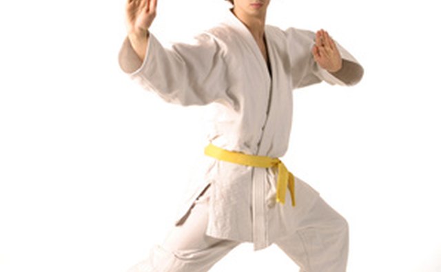 Juijitsu is among the first systems taught to SEALs.