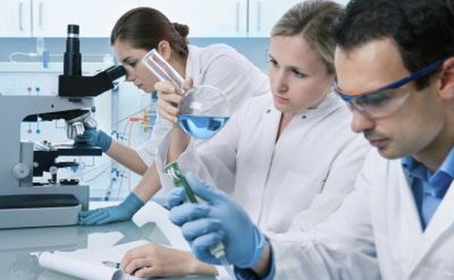 scientists in chemical laboratory