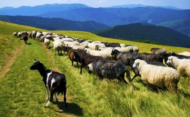 The private sector includes agriculture.