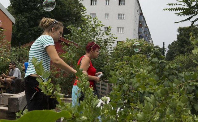 Volunteers working in an urban community garden.