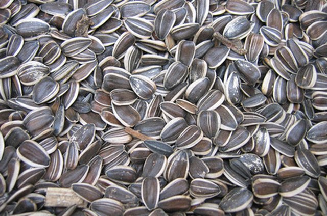 Easy Way to Shell Sunflower Seeds | LEAFtv