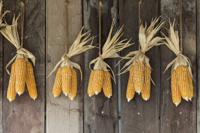 how-to-dry-corn-leaftv