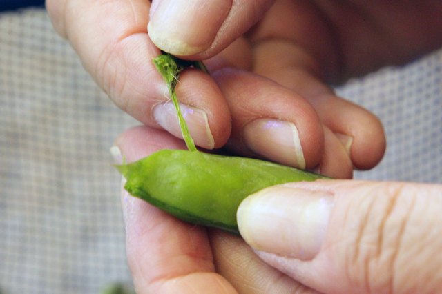 how-to-remove-string-from-sugar-snap-peas-leaftv