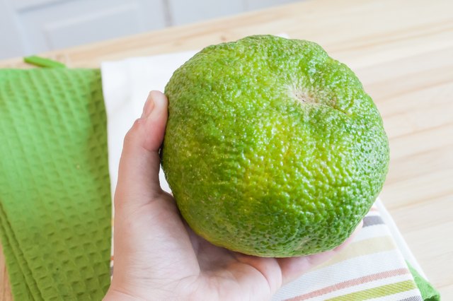 how-to-eat-an-ugli-fruit-leaftv