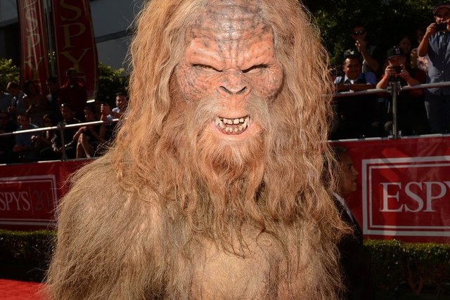 You may hunt and (if you find one) kill a Bigfoot in the state of Texas.