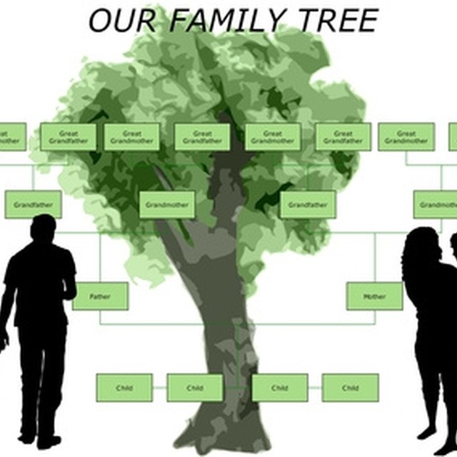 Family Tree Synonym