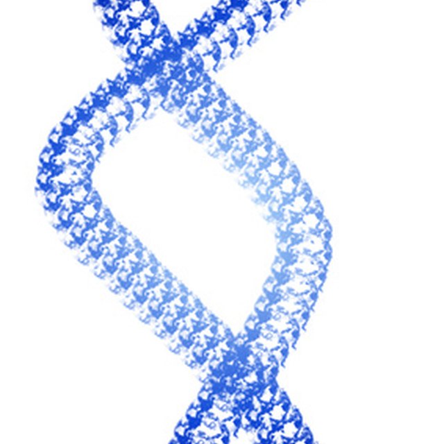 the-role-of-taq-polymerase-in-pcr-sciencing