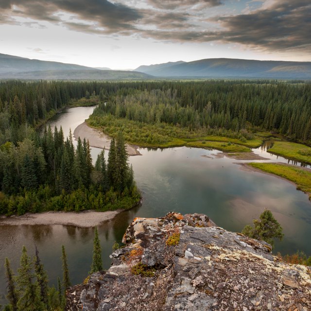 plant-adaptations-in-the-tundra-sciencing