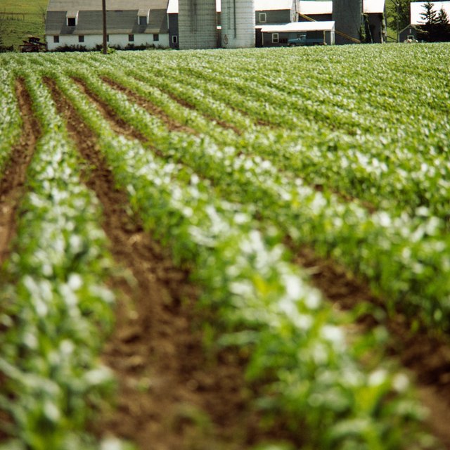 who-qualifies-for-farm-tax-credits-bizfluent