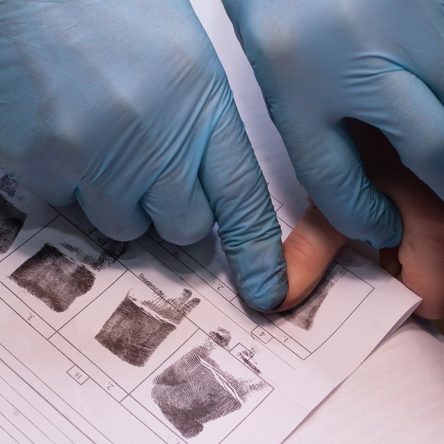 Forensic Science Project Ideas For College Students