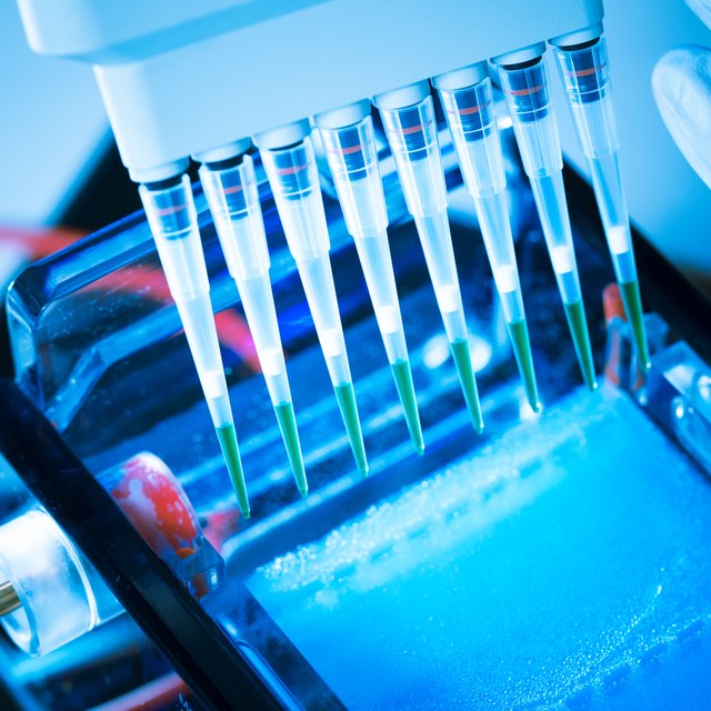 DNA Extraction by Spooling Method | Sciencing