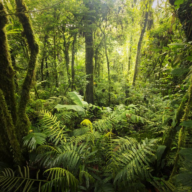 differences-between-mediterranean-climate-and-humid-subtropical-climate