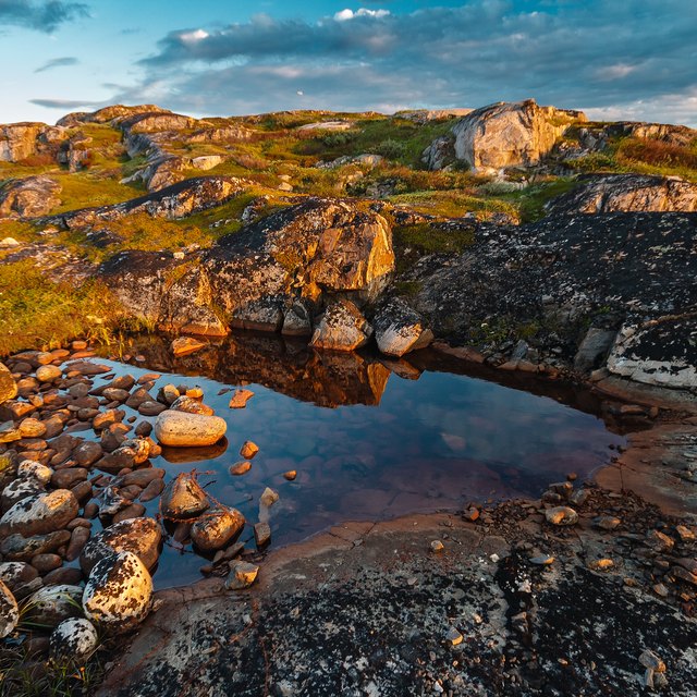 How to Make a Tundra Project | Sciencing