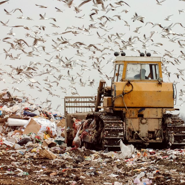 Types Of Pollutants Sciencing